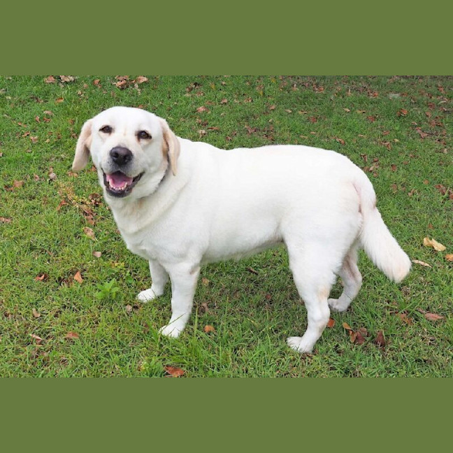 Photo of Heather Now Haven