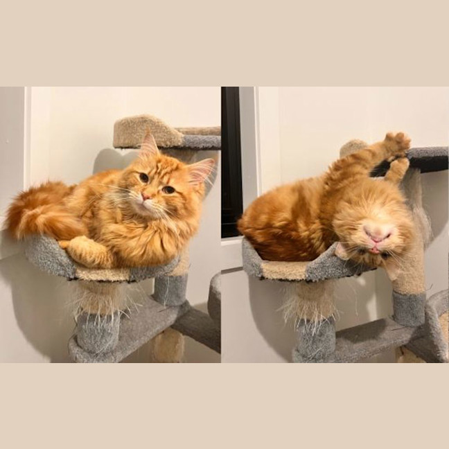 Photo of Oliver