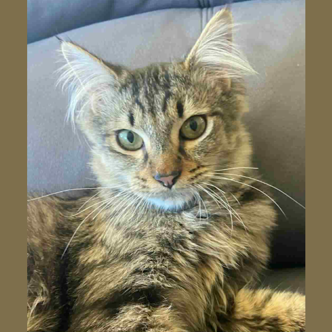 Photo of Jay Jay