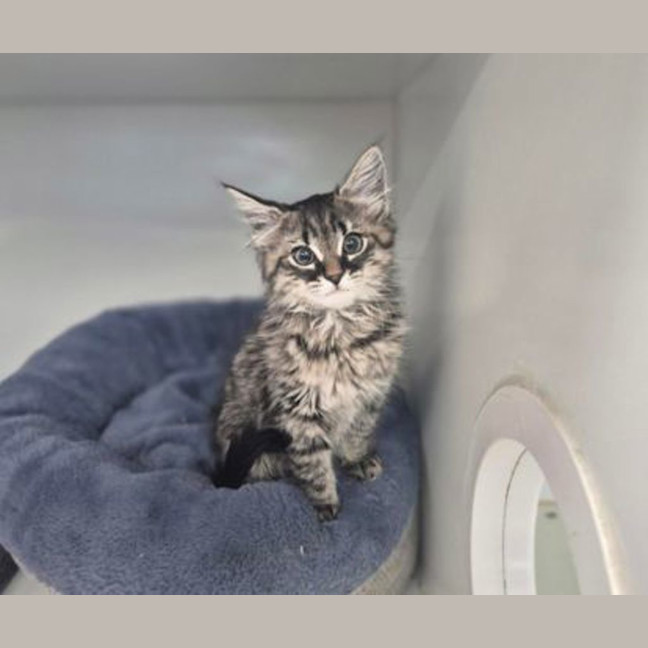 Photo of Miggles