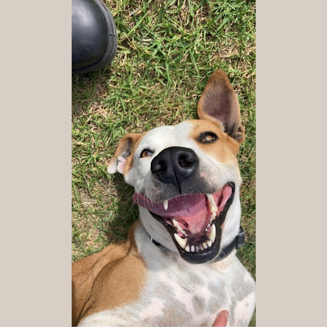 Photo of Doug (65435)