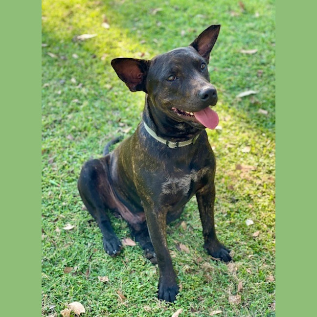Photo of Romeo