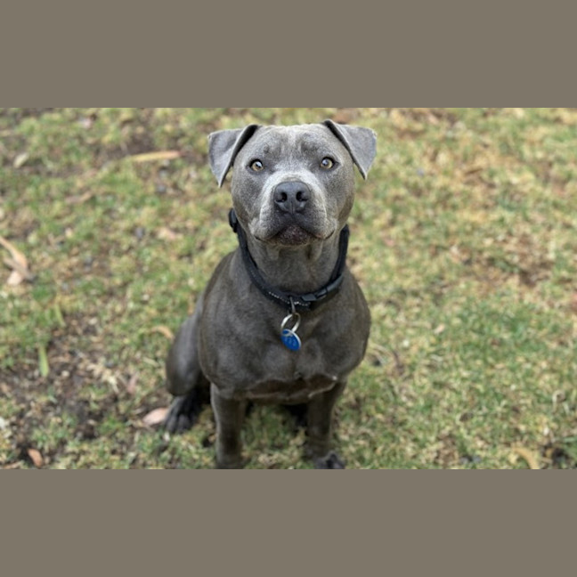 Photo of Hercules