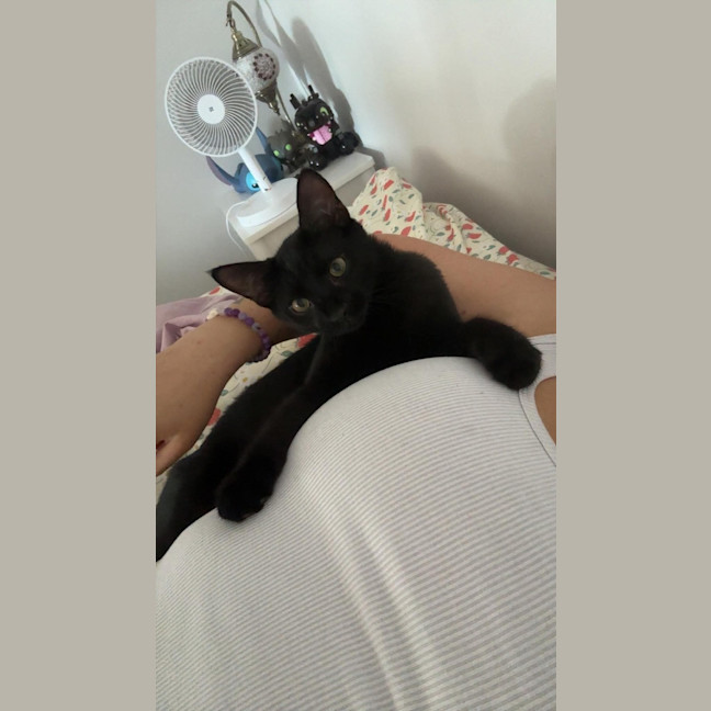 Photo of Phantom 