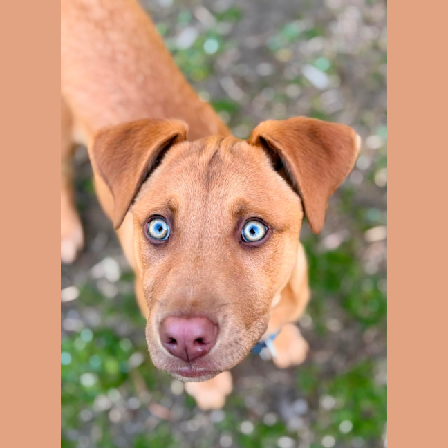 Photo of Ora