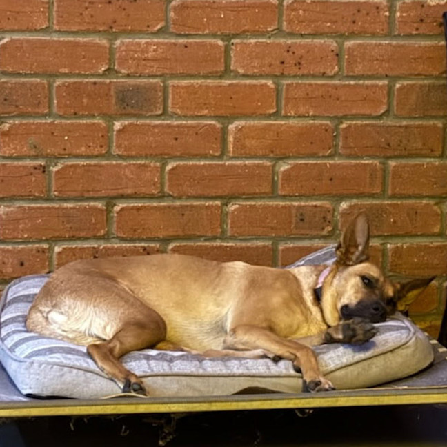 Photo of Candy