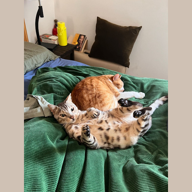 Photo of Marco