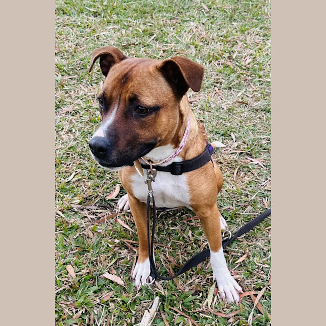Photo of Suki