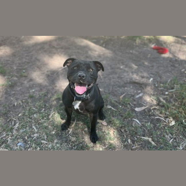 Photo of Rocket