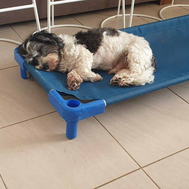 Photo of Mack Jablonski