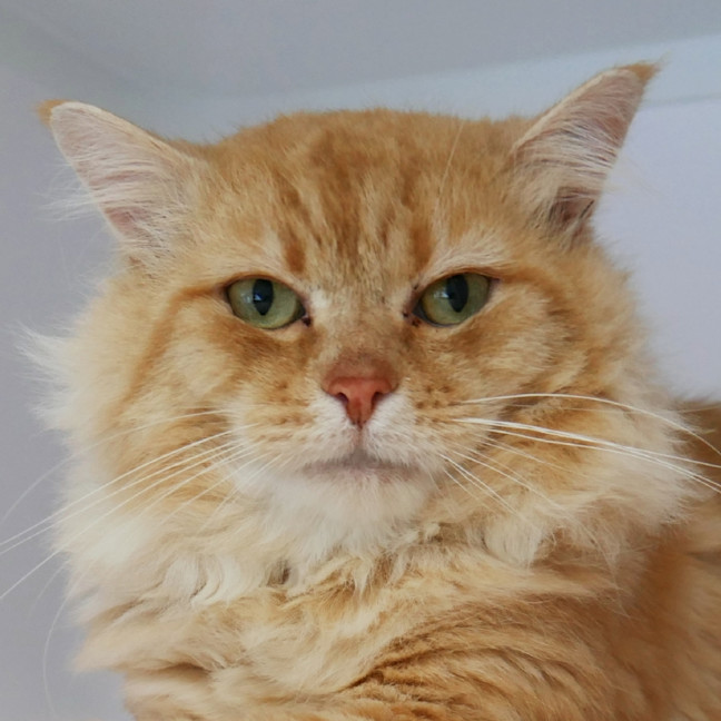 Photo of Sol Sta014474