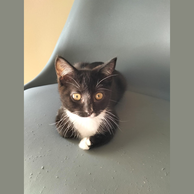 Photo of 🌸 Delta 🌸