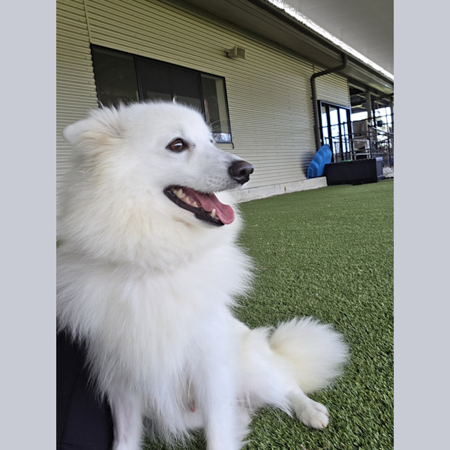 Photo of Crystelle