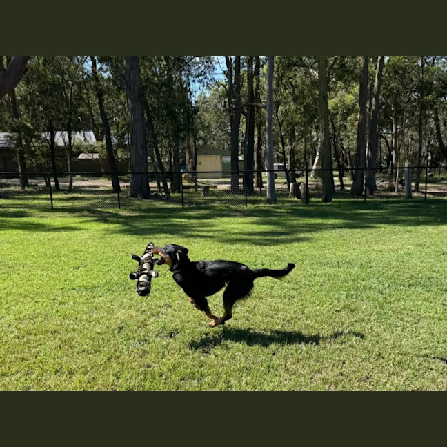 Photo of Albie