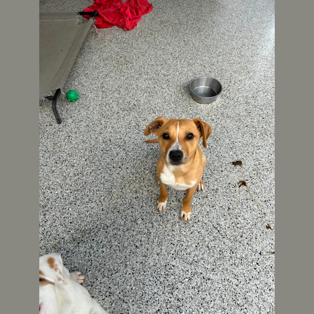 Photo of Clyde 