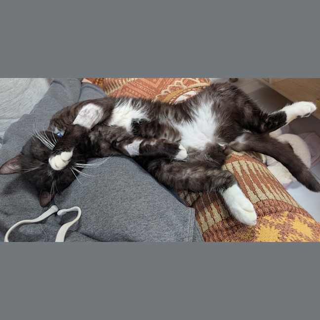 Photo of Guinness