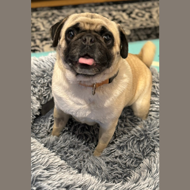 Photo of Snugglepot 