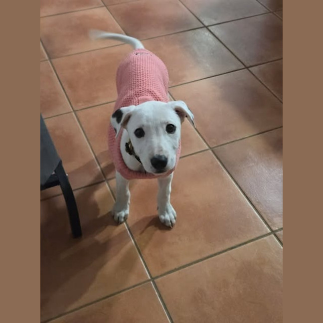 Photo of Casper
