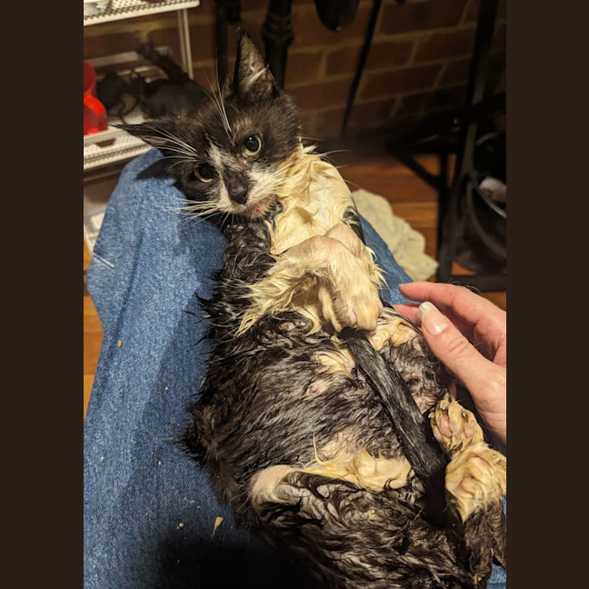 Photo of Babs