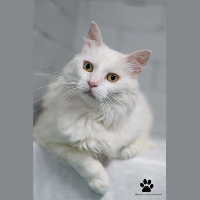 Photo of Maggie