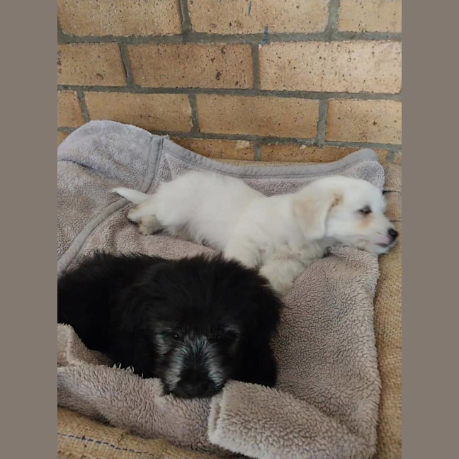 Photo of Cracker Jack