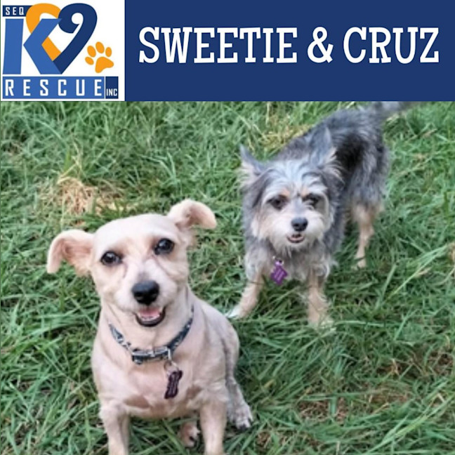 Photo of Sweetie / Cruz