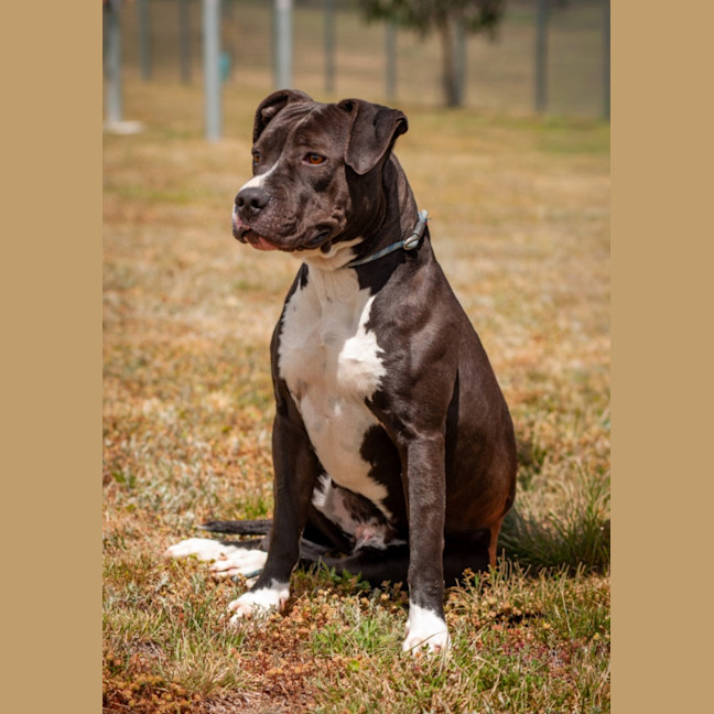 Photo of Penelope