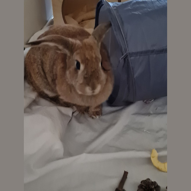 Photo of Yoghurt And Yum Cha