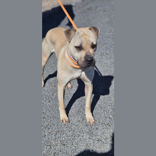 Photo of Narla