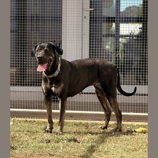 Photo of Kaizer