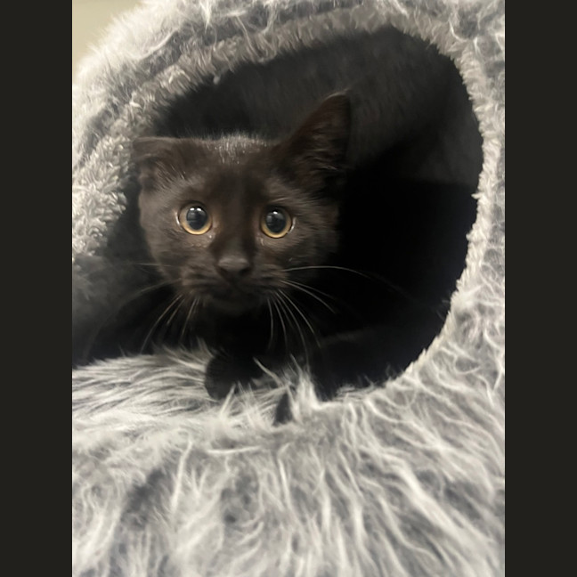 Photo of Spice
