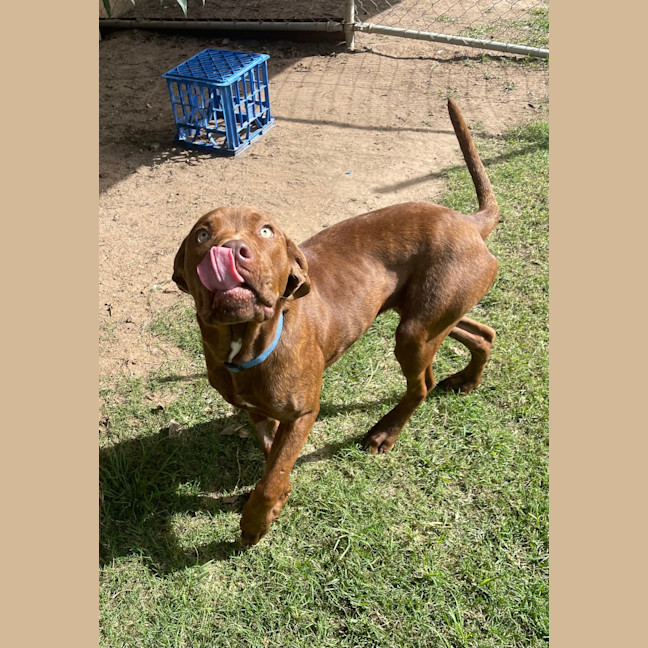 Photo of Bonnie