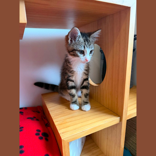 Photo of 🩷Juliet 🩷