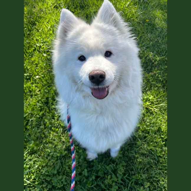 Photo of Topsy