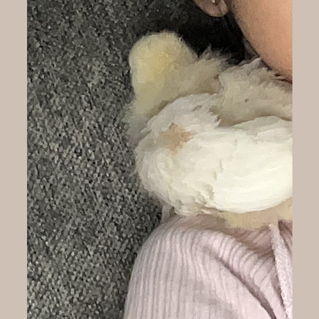 Photo of Lucky
