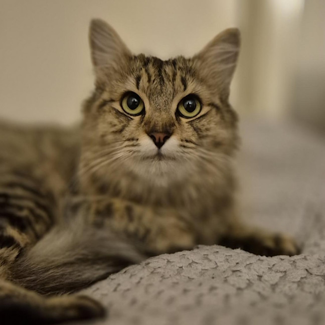 Photo of Willa