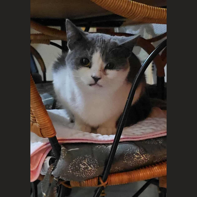Photo of Minnie