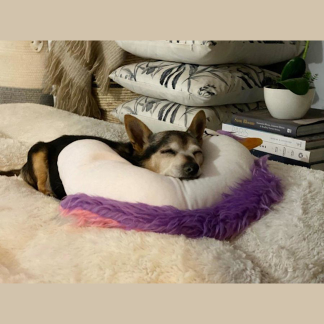 Photo of Miguel Kumara