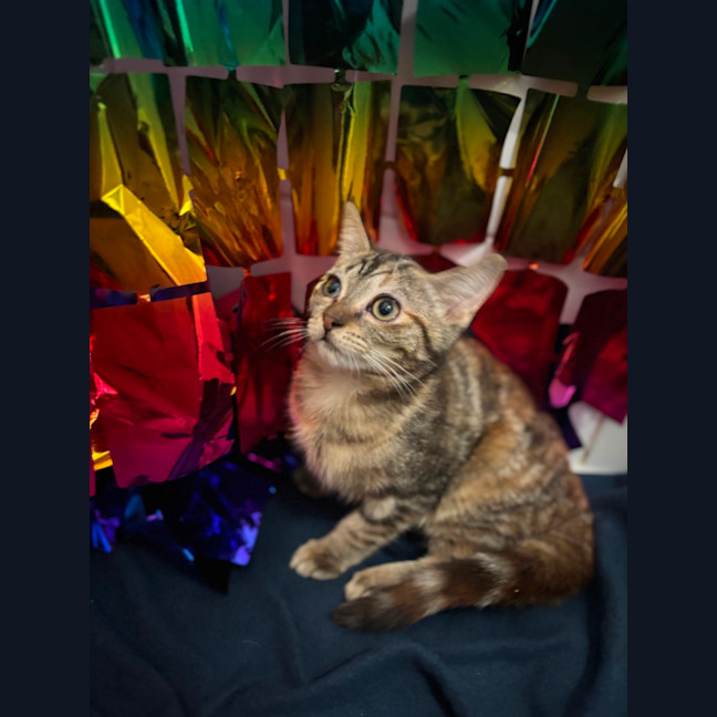 Photo of Pi