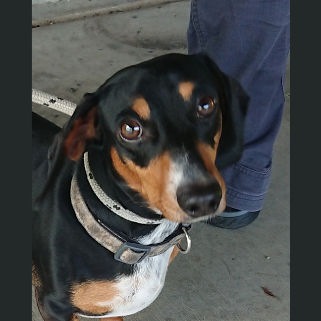 Photo of Denver