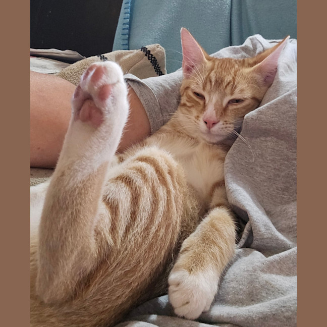 Photo of Ginger George