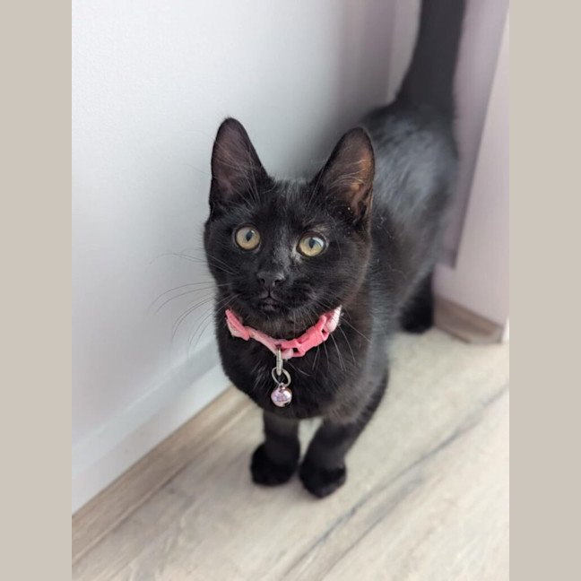 Photo of Sprout