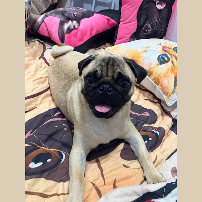Photo of Bruce