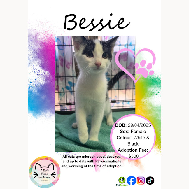 Photo of Bessie