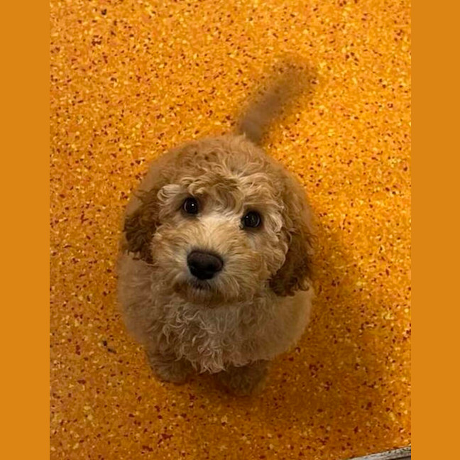 Photo of Charlie