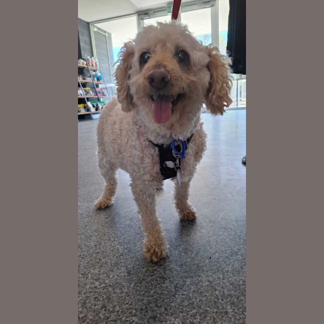 Photo of Max