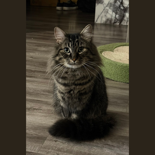 Photo of Herb