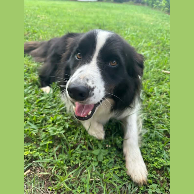 Photo of Lenny