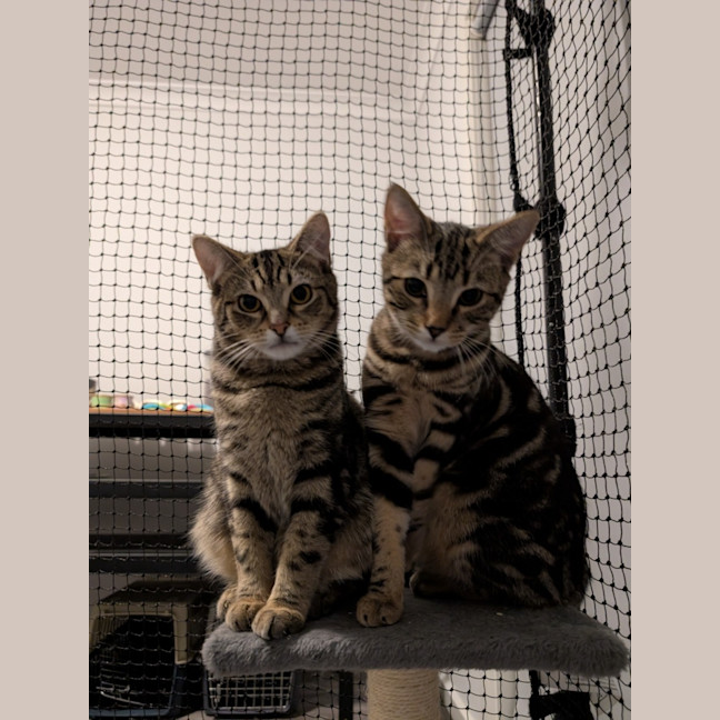 Photo of $180 Snuggles