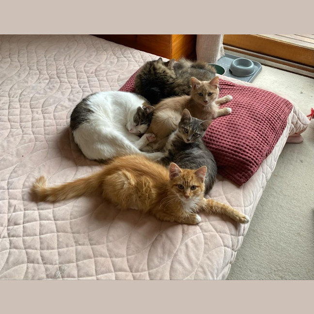 Photo of Tobias 💙